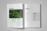 Case Study Booklet, a Templates & Theme by StockInDesign (Thumbnail 2 of 10)