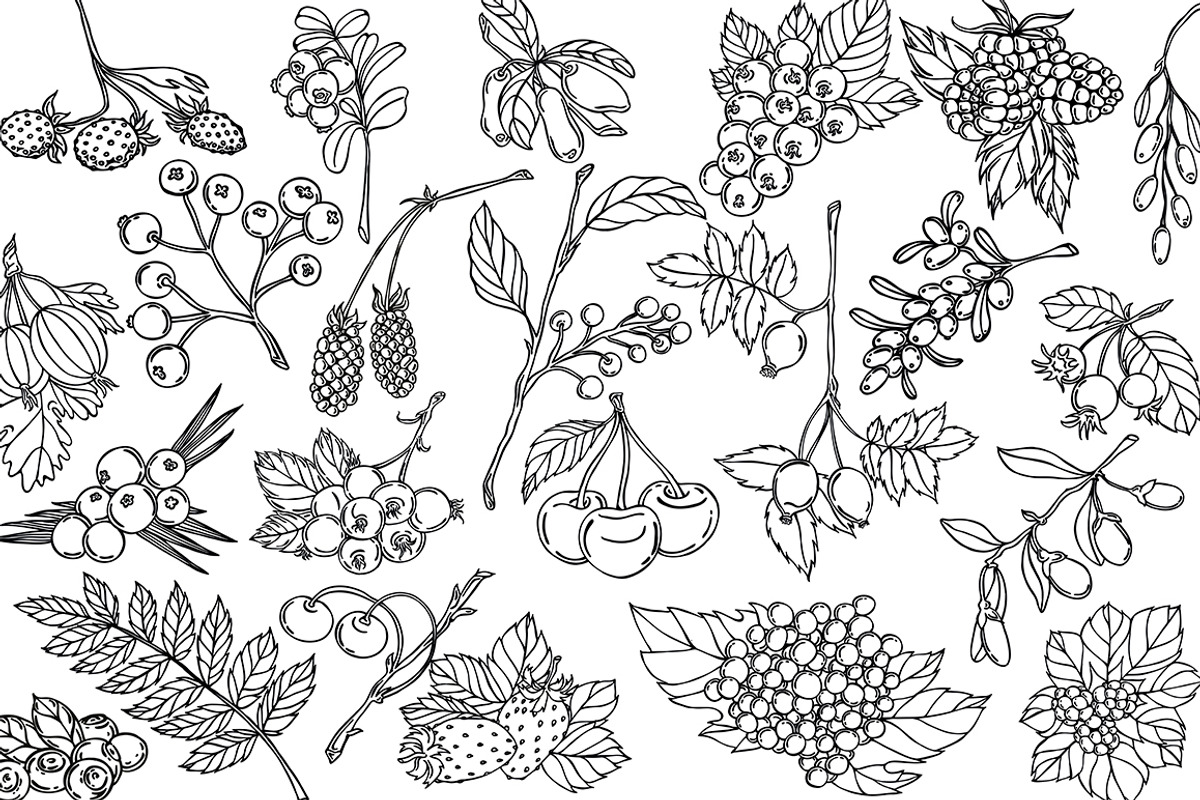 Vector berries, an Illustration by risovanya (Photo 4 of 9)
