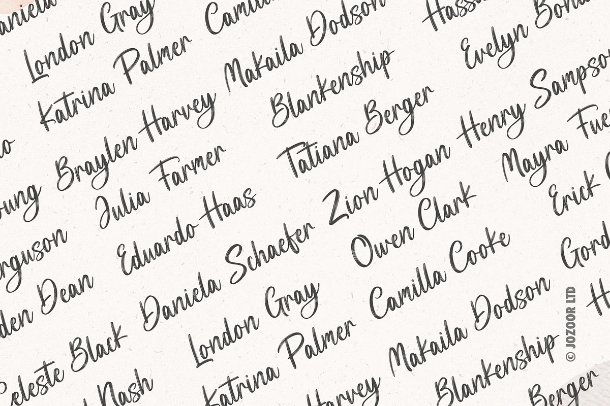 Luca Noah - Brush Heart Script Font, a Script Font by Jozoor (Photo 4 of 6)