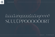 Noceur - elegant serif typeface, a Serif Font by Only Fonts (Thumbnail 9 of 10)