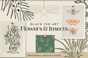 Flowers & Insects | Black Ink Art, an Illustration by amber&ink (Thumbnail 1 of 12)