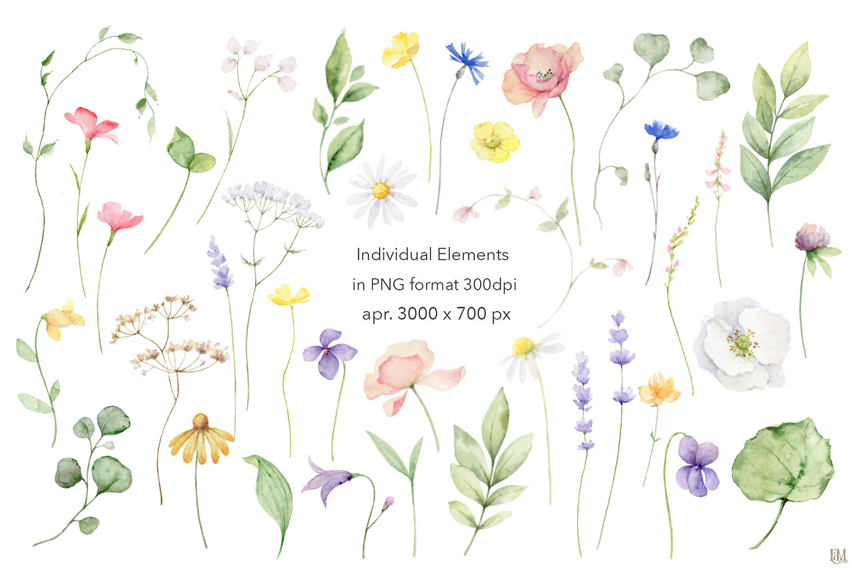 Watercolor Butterflies and Flowers, a Decorative Illustration by Elena Medvedeva (Photo 5 of 12)