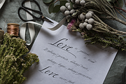 Quinton Script Font, a Script Font by Sala.Ink (Thumbnail 4 of 10)