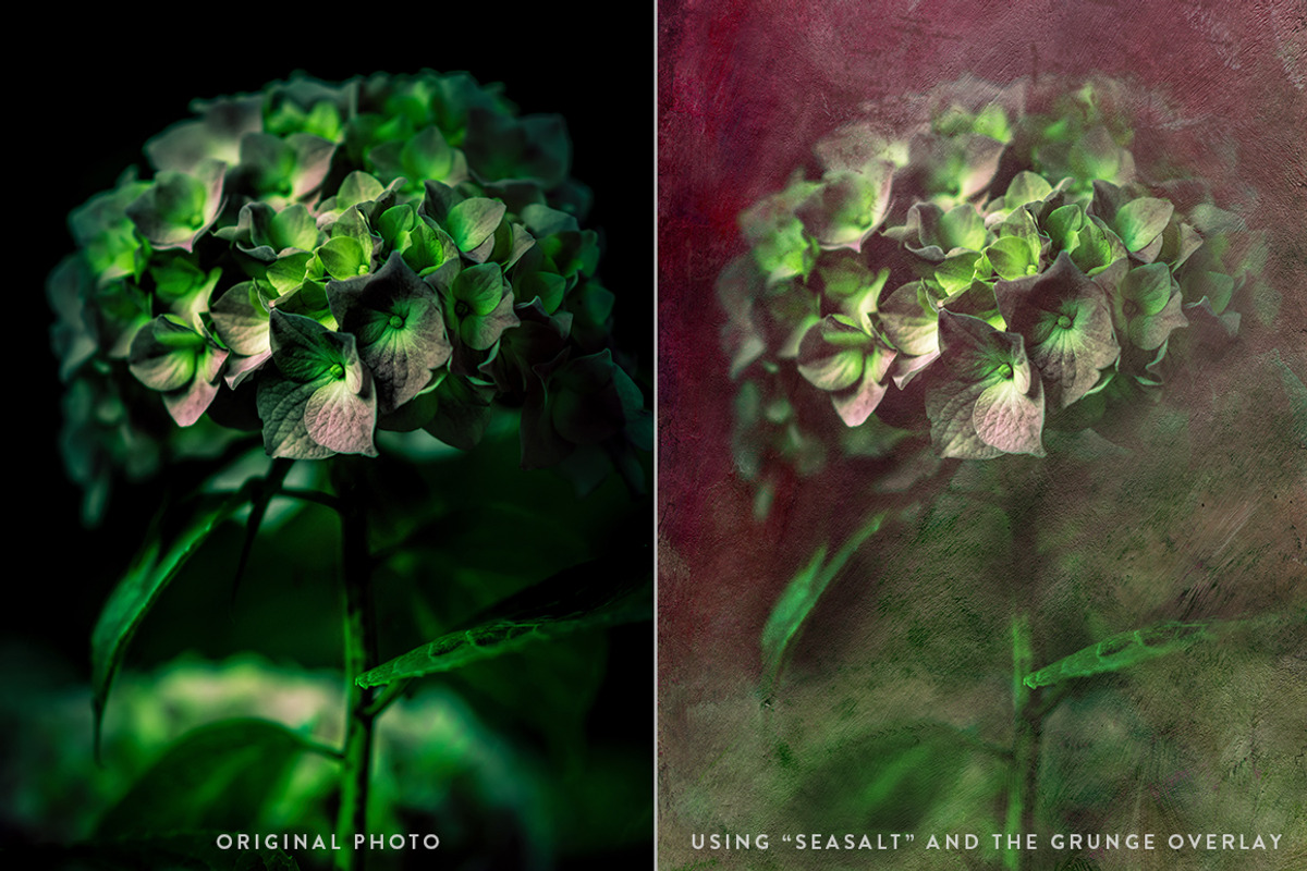 Delicato Fine Art Textures, a Texture Graphic by Greta Ivy (Photo 3 of 11)