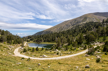 Summer landscape in La Cerdanya, Lak