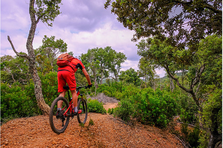 Unrecognisable mountain biker rides
