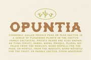 Opuntia - Curvy Spur Display Type, a Serif Font by MEG BURK CHOI (Thumbnail 1 of 4)