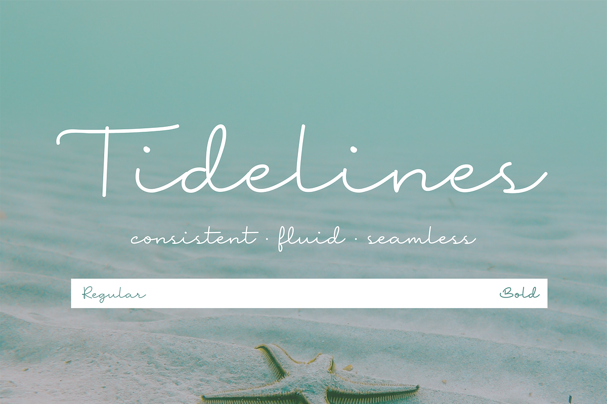 Tidelines - A Handwritten Script, a Handwritten Font by Vanem Studio (Photo 10 of 10)