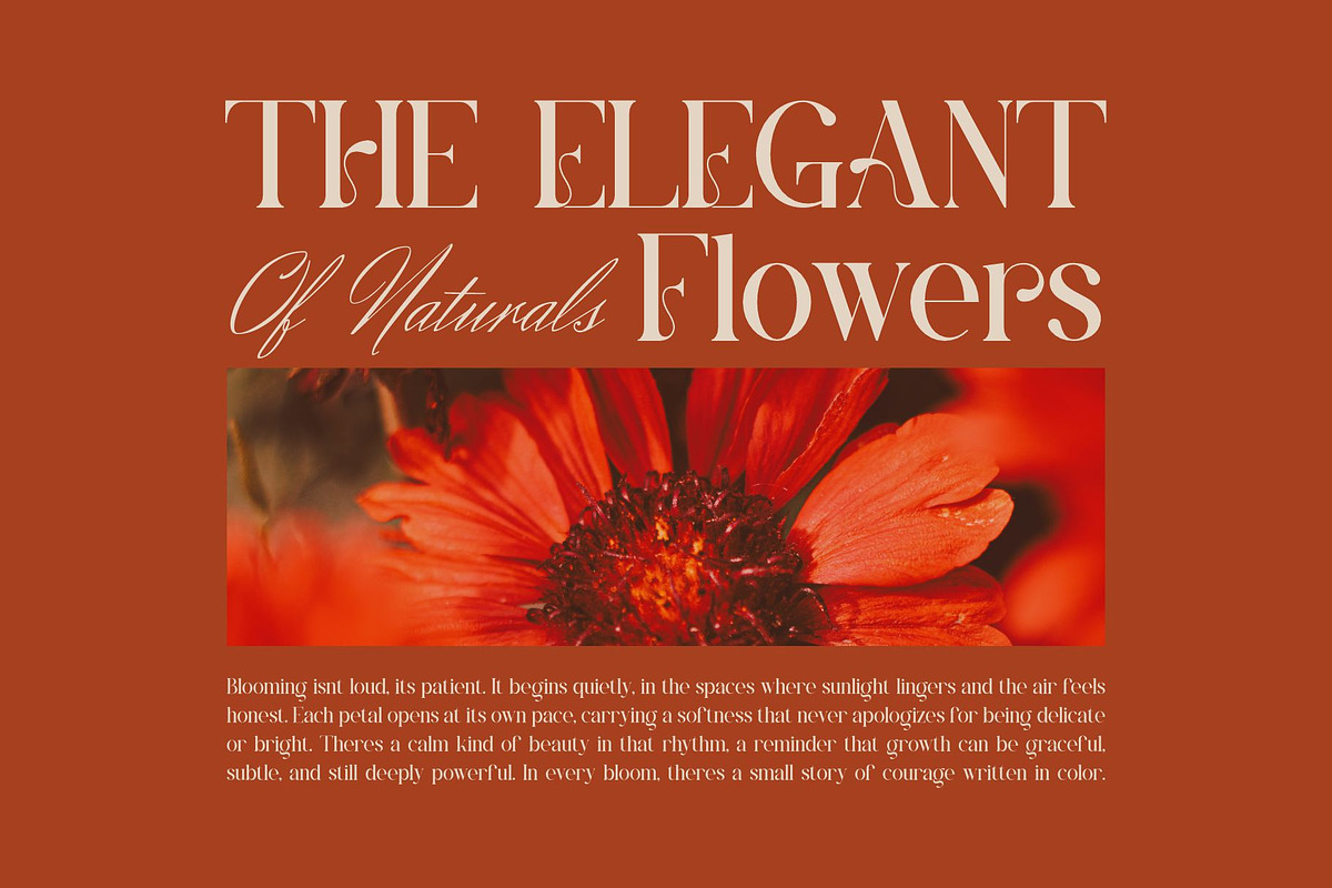 Brosen || Modern Classy Serif Font, a Serif Font by Ermedia Studio (Photo 6 of 10)