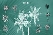 Tropica Collection, a Seasonal Illustration by Michael Rayback Design (Thumbnail 8 of 15)