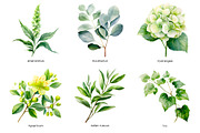 Watercolor green wedding flowers, an Object Illustration by Art and Funny (Thumbnail 3 of 5)