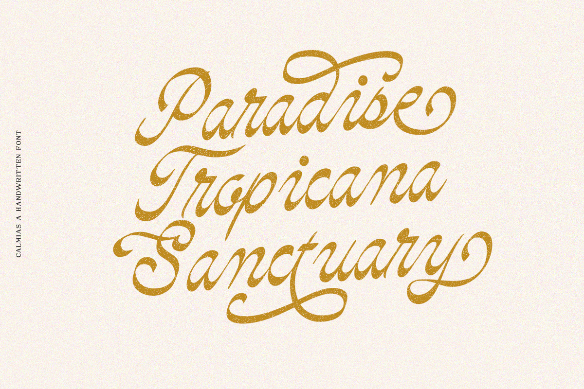 Calmias, a Handwritten Font by Typeskets (Photo 3 of 9)