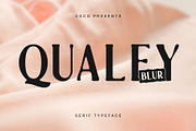 Qualey Blur, a Serif Font by Craft Supply Co. (Thumbnail 1 of 8)