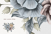 Watercolor Winter Florals Collection, a Decorative Illustration by BarvArt (Thumbnail 12 of 14)