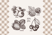 Vintage berry illustration., an Illustration by natadanko (Thumbnail 2 of 3)