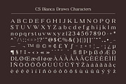 CS Bianca Drawn, a Serif Font by Craft Supply Co. (Thumbnail 8 of 8)