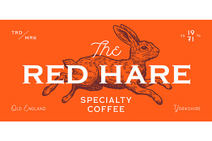 Hare, rabbit sketch., a Food Illustration by Foxys Graphic