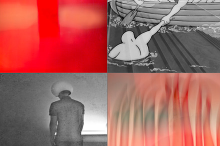 abstract wall art photograph, a Photo by Sue McArthur Imagery