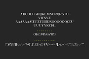 Kavo Serif Typeface - 5 weights, a Serif Font by VP Fonts (Thumbnail 10 of 12)