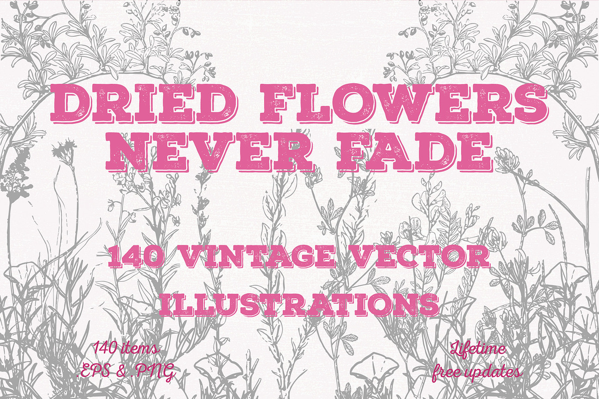Dried Flowers, Petals, Shoots, an Illustration by TheBlackPixelCo (Photo 1 of 8)