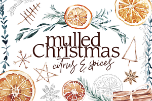 Dried Orange Christmas Spices