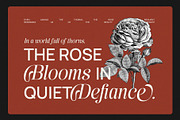 Austyns Sakyra Calligraphy Serif, a Serif Font by Graphicxell (Thumbnail 5 of 10)