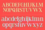 Meglo - Elegant Modern Serif Font, a Serif Font by Pekotype (Thumbnail 3 of 15)
