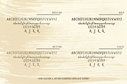 Brioche Rustic Serif Font Family, a Serif Font by Beck McCormick (Thumbnail 10 of 10)