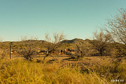 Mesquite Lightroom Presets, a Brushes & More by Cactus Country (Thumbnail 8 of 11)