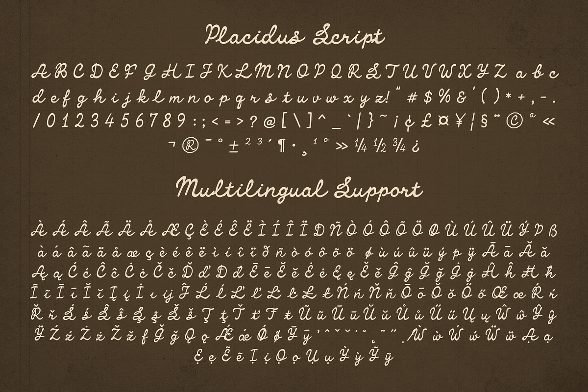 Placidus Notesho Retro Whimsical, a Handwritten Font by Sixtype (Photo 8 of 10)