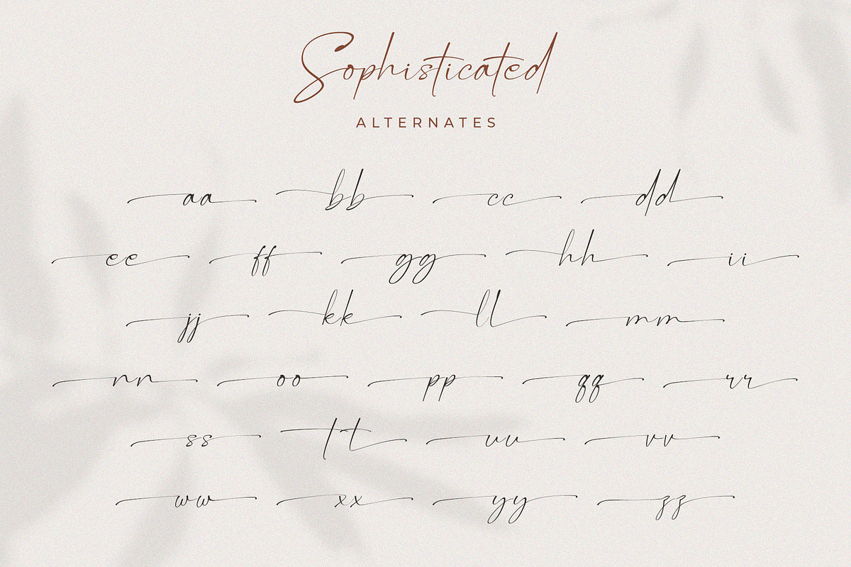 Roman Sophisticated Font Duo, a Serif Font by BrandSemut (Photo 20 of 20)