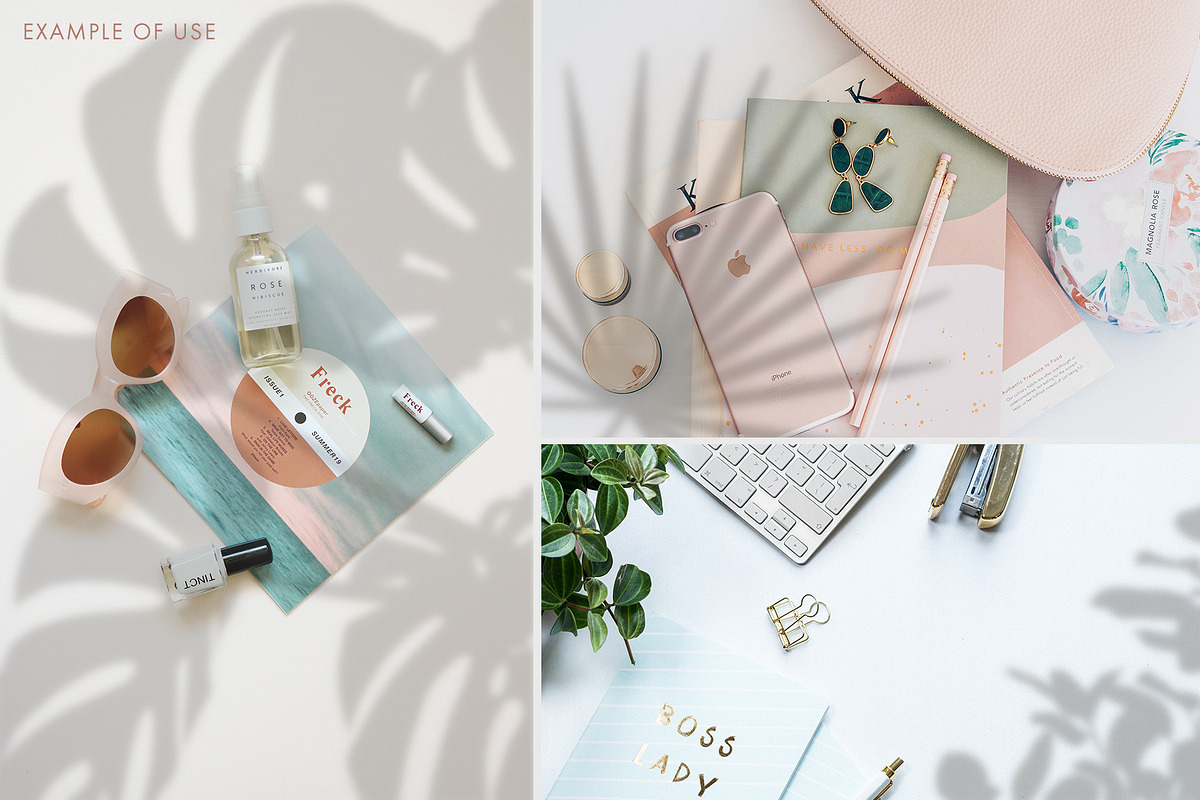 30 Botanical Shadow Overlays, a Mockup by Megs Lang (Photo 3 of 8)