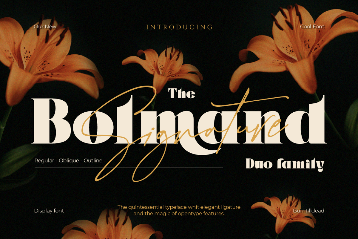 Bolmand Signature, a Serif Font by Burntilldead (Photo 1 of 12)