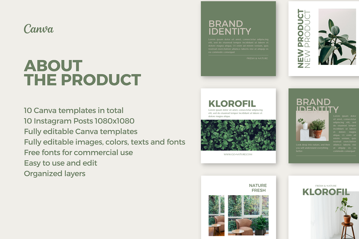 Sage Green Canva Template, a Social Media Template by Moodwave Studio (Photo 2 of 10)