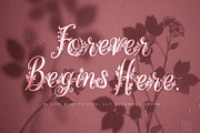 WynsteraQalis Decorative Floral font, a Script Font by HypeWorksCo (Thumbnail 16 of 24)