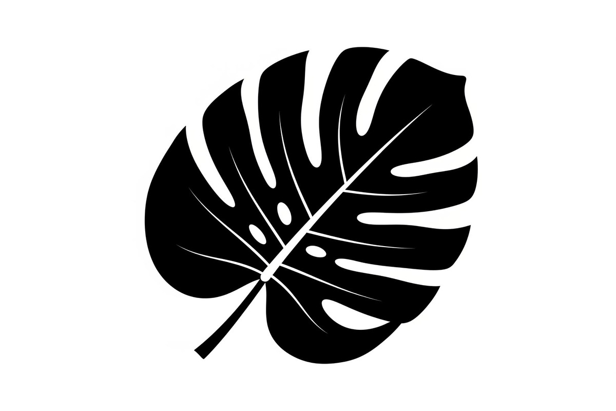 Monstera Leaf Silhouette Bundle, an Illustration by yasushie (Photo 27 of 31)