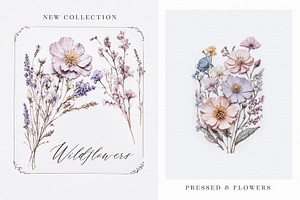 Wildflowers & Pressed Flowers