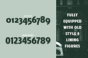 Fellbaum Grotesk Full, a Sans Serif Font by Vintage Type Company (Thumbnail 8 of 16)