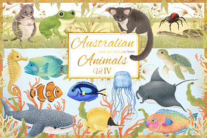 Australian Animals Vol IV, an Animal Illustration by Jen Digital Art