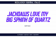 RESILIENCY FONT FAMILY, a Sans Serif Font by Alphabet Agency (Thumbnail 5 of 11)