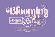 Folkin Display, a Sans Serif Font by INKSUN™ (Thumbnail 4 of 9)