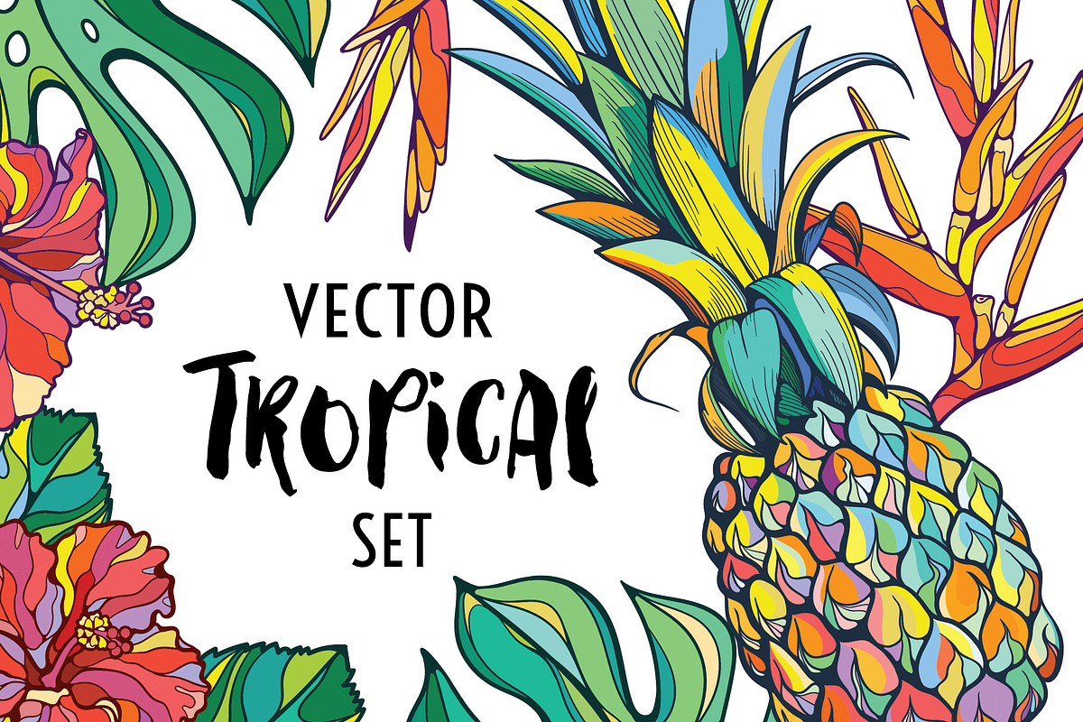 Vector tropical set, a Background Graphic by Purple Platypus (Photo 1 of 10)
