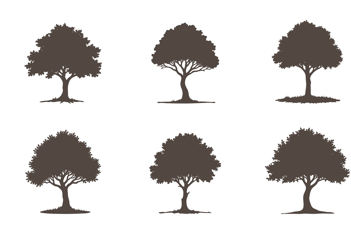 Pine Tree Silhouette Set Trees icon, a Solid Icon by RAHMAT (Photo 3 of 3)