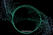 Cosmos, an Illustration by Colorpong (Thumbnail 6 of 10)