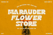 Mashle - Unique Sans Font, a Sans Serif Font by Font Liner (Thumbnail 2 of 13)