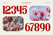 Magnolie - Vintage Serif Font, a Serif Font by Masyafi Studio (Thumbnail 2 of 8)