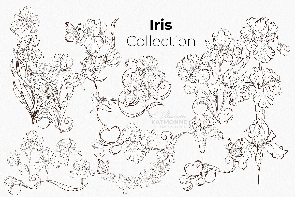 Iris Botanical Line Floral Vector, a Decorative Illustration by katmonne (Photo 8 of 14)