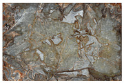 Corrosion Textures, a Texture Graphic by Blue Line Design (Thumbnail 3 of 13)
