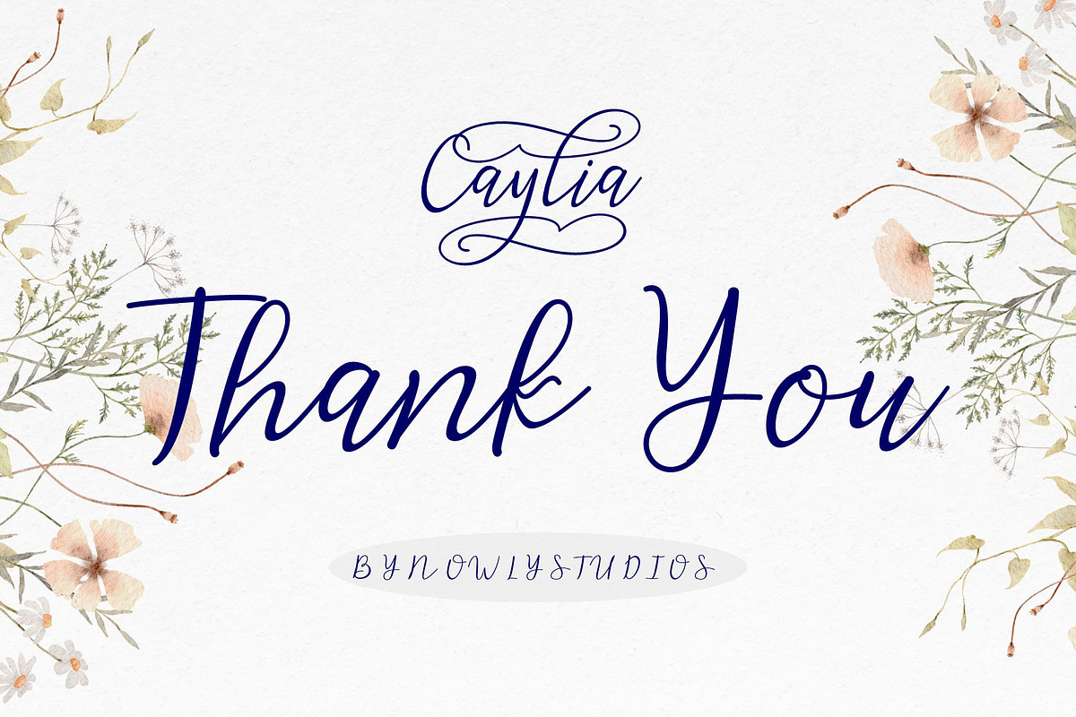 Caylia Script, a Script Font by Nowlystudios (Photo 8 of 8)