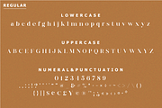 Deroma Serif, a Serif Font by Yahya Type (Thumbnail 20 of 22)